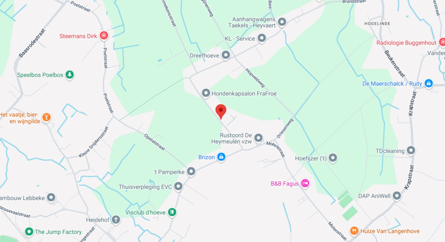 Google Maps Locatie